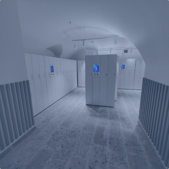 библиотечные сервисы